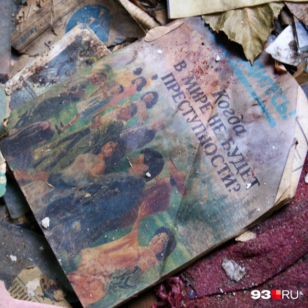 Источник: Екатерина Подымова / 93.RU