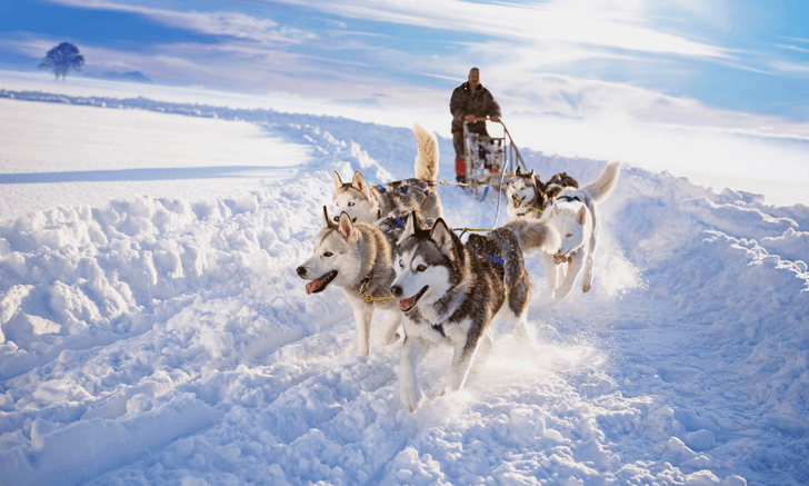 Фото №7 - Когда каток и лыжи надоели: 10 необычных зимних развлечений 🥰