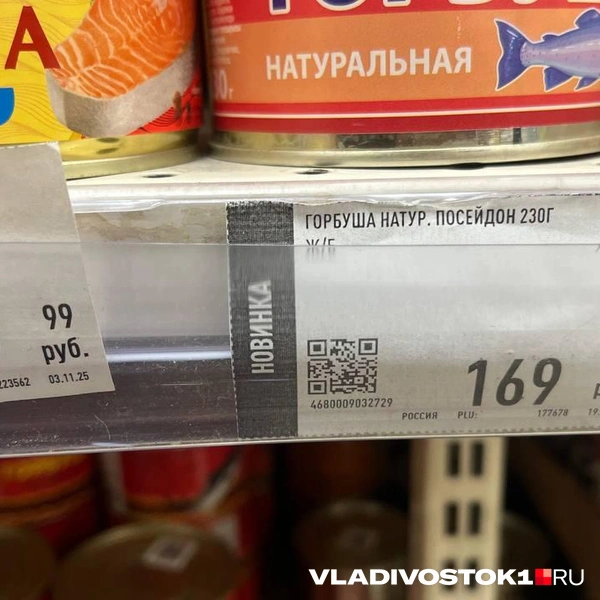 Источник: Елена Буйвол / VLADIVOSTOK1.RU