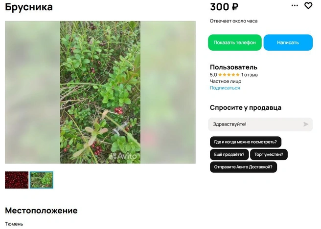 «100% дикoрoc, нacтоящaя лeсная ягода. Собираем вручную. Самовывоз»&nbsp;— уточняет продавец | Источник: сайт бесплатных объявлений