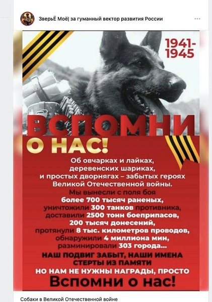 Источник: ВКонтакте