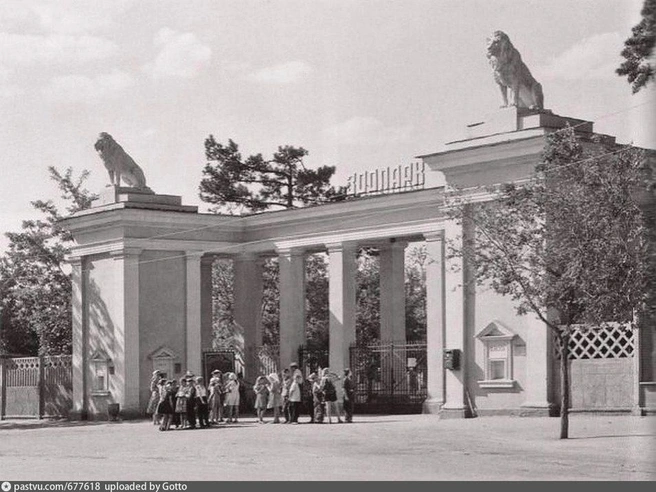 Вход в зоопарк в 1955–1960 годы | Источник: Pastvu.com