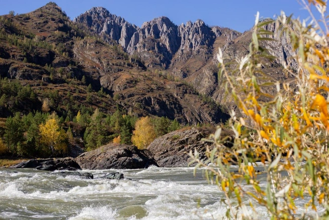 Клип обещает стать визитной карточкой туризма в Горном Алтае | Источник: СЗ «ГОРНЫЙ ГЕКТАР»