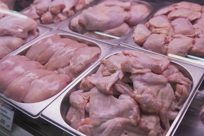 В Приморье обнаружили 25 тонн курицы с антибиотиками из Китая