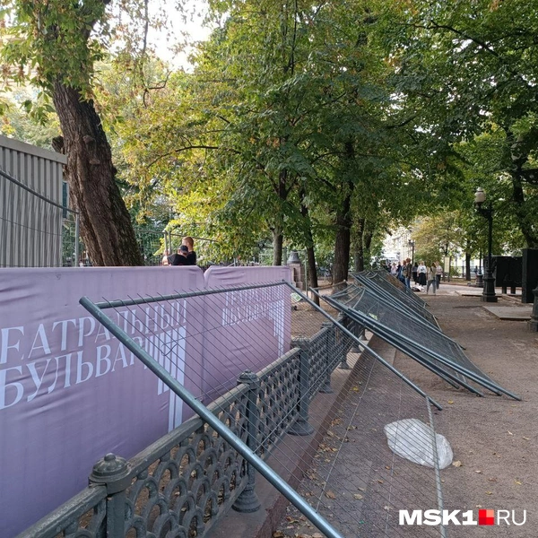 Источник: Анастасия Харитонова / MSK1.RU