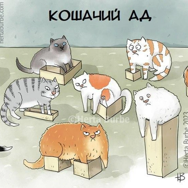 Источник: соцсети