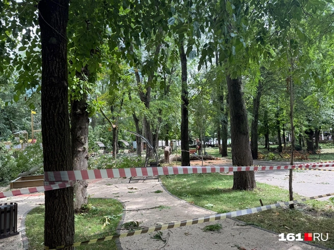 Рабочие пилят | Источник: Марина Рыбалкина / 161.RU
