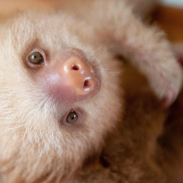 Источник: SAM TRULL / CATERS NEWS via Legion Media