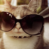 userpic__арбузя