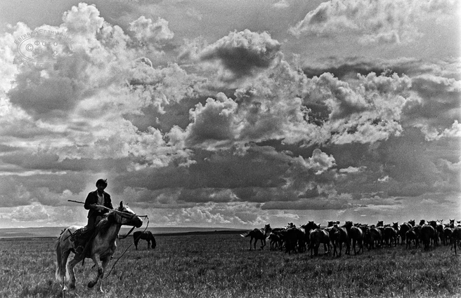 Источник: Евгений Епанчинцев
