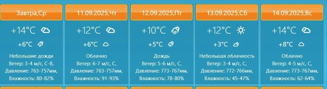 Зонтики не будут лишними | Источник: sentyabr.u-zonta.ru 
