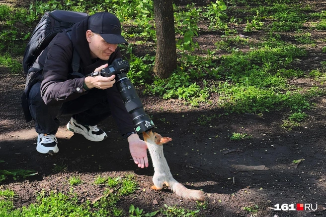 «Давай я вся такая красивая встану, а ты меня сфотографируешь!» | Источник: Борис Алексеев / 161.RU
