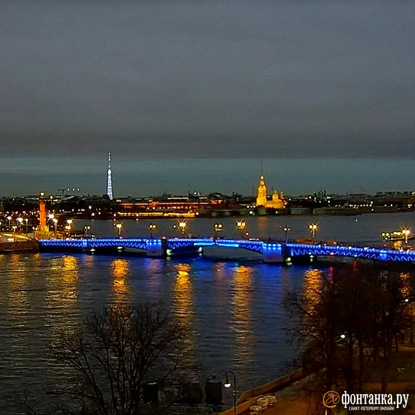 Источник:  скриншот видовой веб-камеры проекта «(От)Личный Петербург»