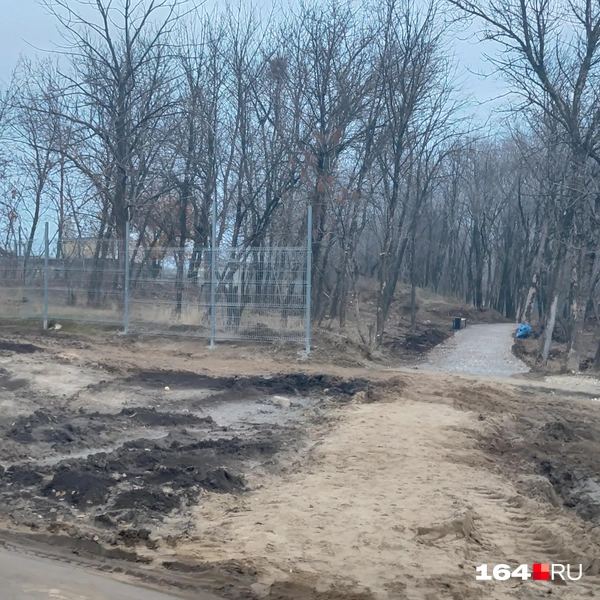 Источник: Сергей Гендин / 164.RU