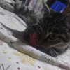 userpic__Beauty