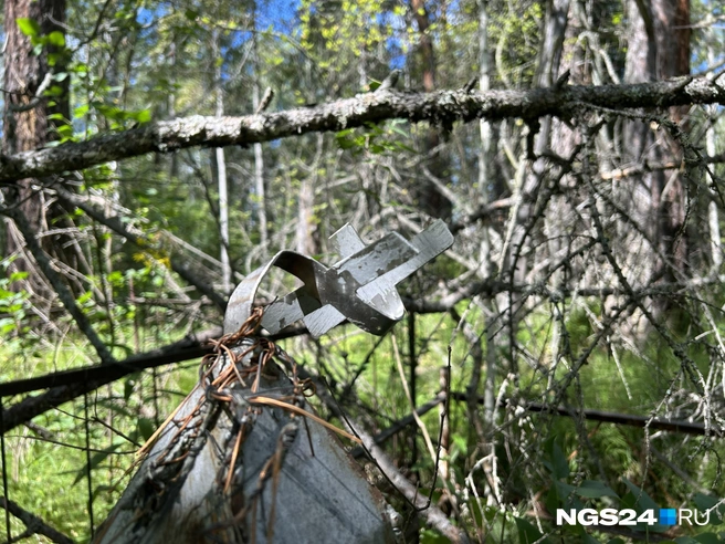 Под тяжестью лет | Источник: Алексей Тайганавт / NGS24.RU