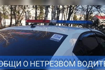 Запущен телеграм-бот для сообщений о пьяных водителях