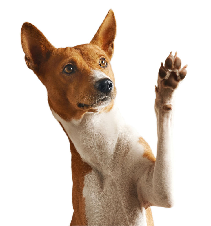 iStock
