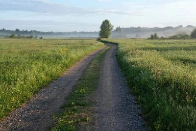Незаконную аренду 249 га в Приамурье расторгли