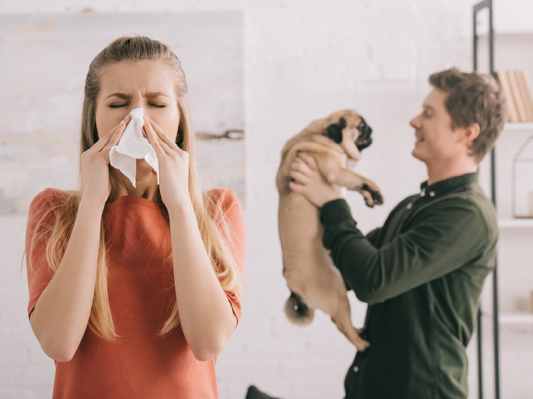 Отдать нельзя оставить: что делать, если у вас аллергия на домашнее животное | marieclaire.ru