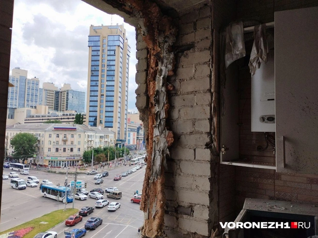 Источник: Дмитрий Волгин / Voronezh1.ru