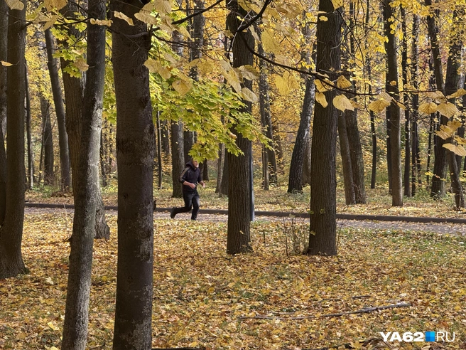 Рязанцы — довольно спортивные ребята, и это здорово | Источник: Сергей Петунин / YA62.RU