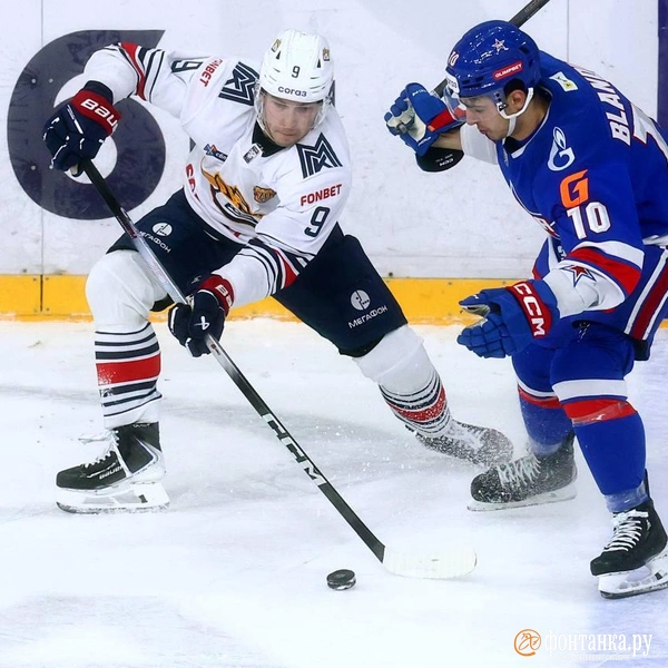 Источник: Дарья Драй/«Фонтанка.ру»