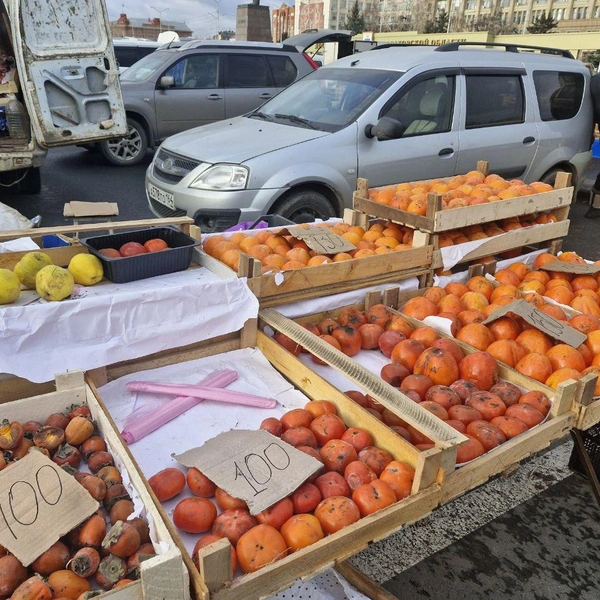 Хурма или, как некоторые называют&nbsp;— королек | Источник: Виктория Федорова / 164.RU