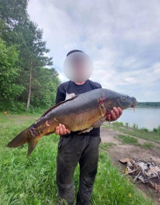 Источник: sibdepo.ru