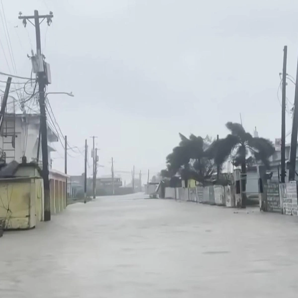 Источник: кадр из видео Channel 4 News