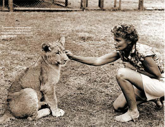Дикое сердце: как Джой Адамсон спасала львов и гепардов в Кении