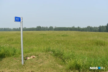 В нескольких километрах по прямой отсюда могут быть руины деревни&nbsp;— или нет | Источник: Рихарда Лем / NGS.RU