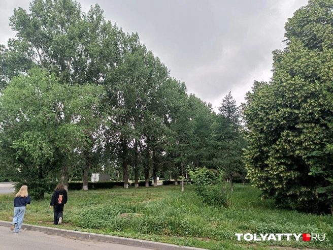 Тополя (слева) и липы (справа) создают естественную защиту дома от шумной Юбилейной. Внутри образовался тенистый парк, где летом свежо и прохладно | Источник: Юлия Дроглева
