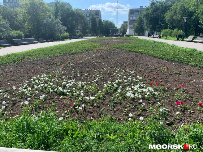 Источник: Полина Котышева / MGORSK.RU