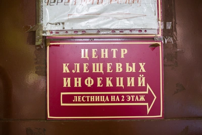 В Тюмени родители не могут привить детей от клещевого энцефалита