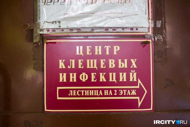 Отнесите клещей специалистам | Источник: Ксения Филимонова / IRCITY.RU