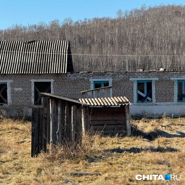 Источник: Анастасия Журавлева / CHITA.RU