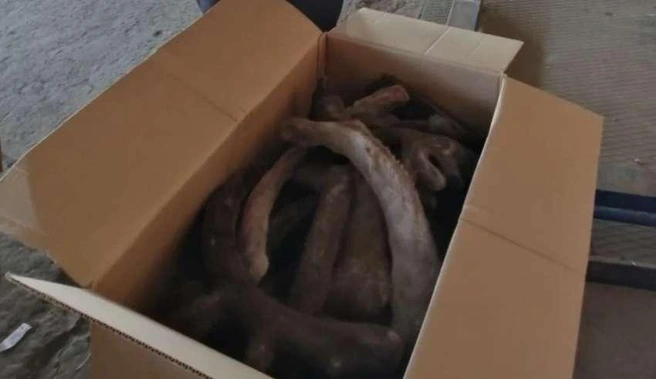 Груз прошел проверку Россельхознадзора | Источник: Nk-tv.com