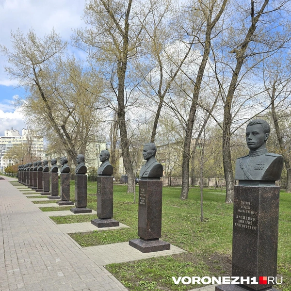 Источник: Ирина Булгакова / Voronezh1.ru