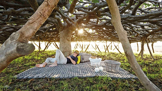 Тренд недели: летний зной