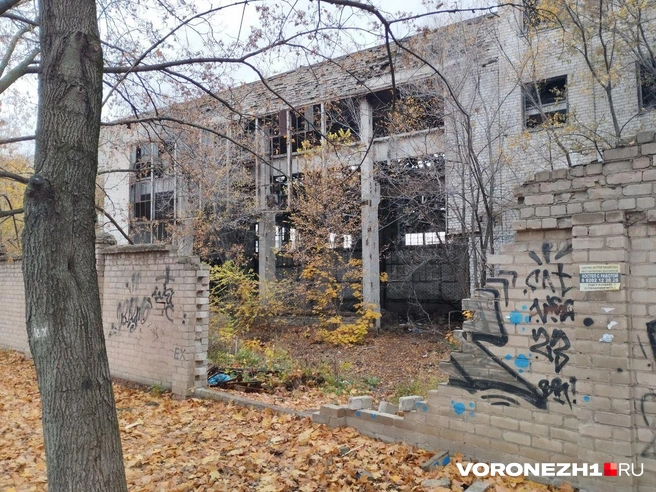 Источник: Дмитрий Волгин / Voronezh1.ru