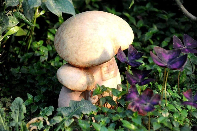 Источник: Денис Гуков