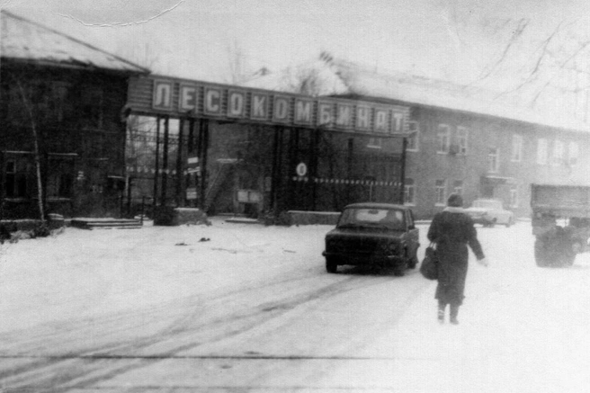 «Когда-то это был остров под названием Яренский. Место болотистое, затопляемое, людей здесь жило немного. В 1940-х жилой поселок стал активно разрастаться, слился с поселком Затона, а с восточной стороны частью домов даже залез на бывшее кладбище села Кривощеково. Копаясь в своем огороде, люди долго находили здесь могильные останки», — рассказал историк.