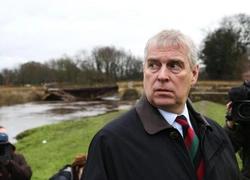 Британские активисты повесили фото арестованного экс-принца Эндрю в Лувре