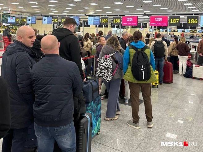 Сотни туристов застряли в московском аэропорту из-за задержки рейса | Источник: Читатель MSK1.RU