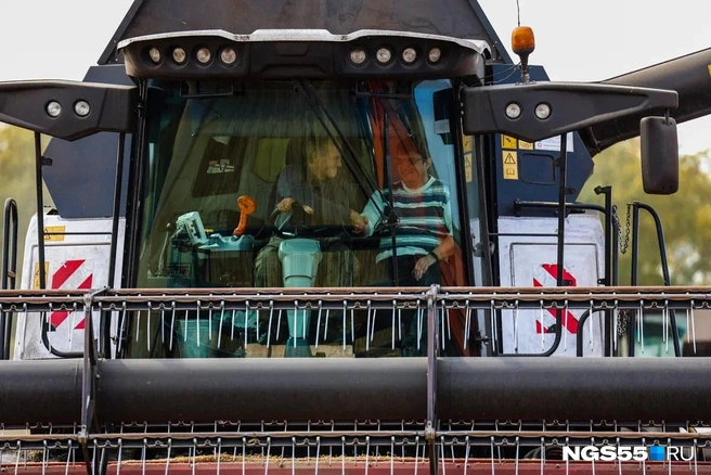 В кабине комбайна хлеборобы проводят по 10-12 часов в день  | Источник: Евгений Софийчук / NGS55.RU 