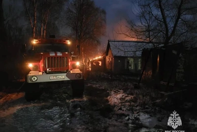 Рязанские пожарные ликвидировали два возгорания за 24 часа
