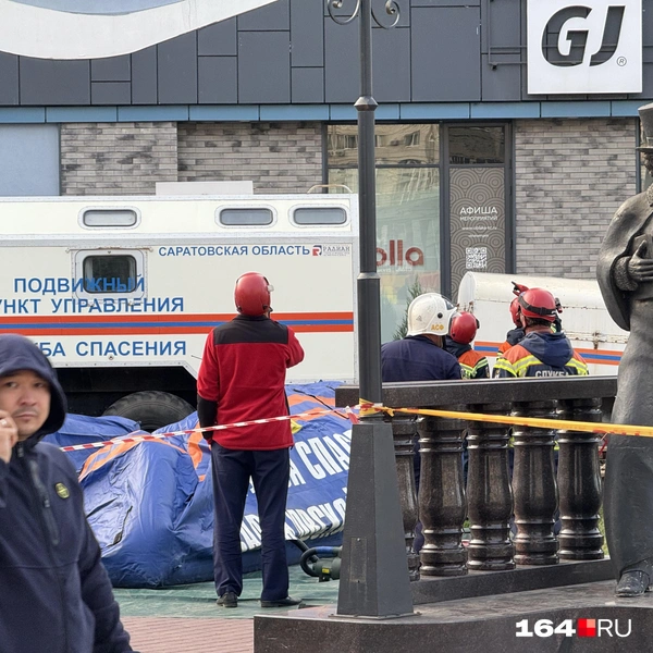 Источник: Сергей Петунин / 164.RU