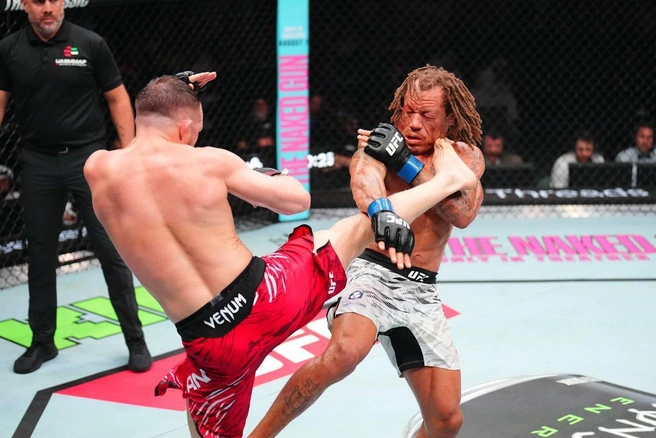 Источник: UFC