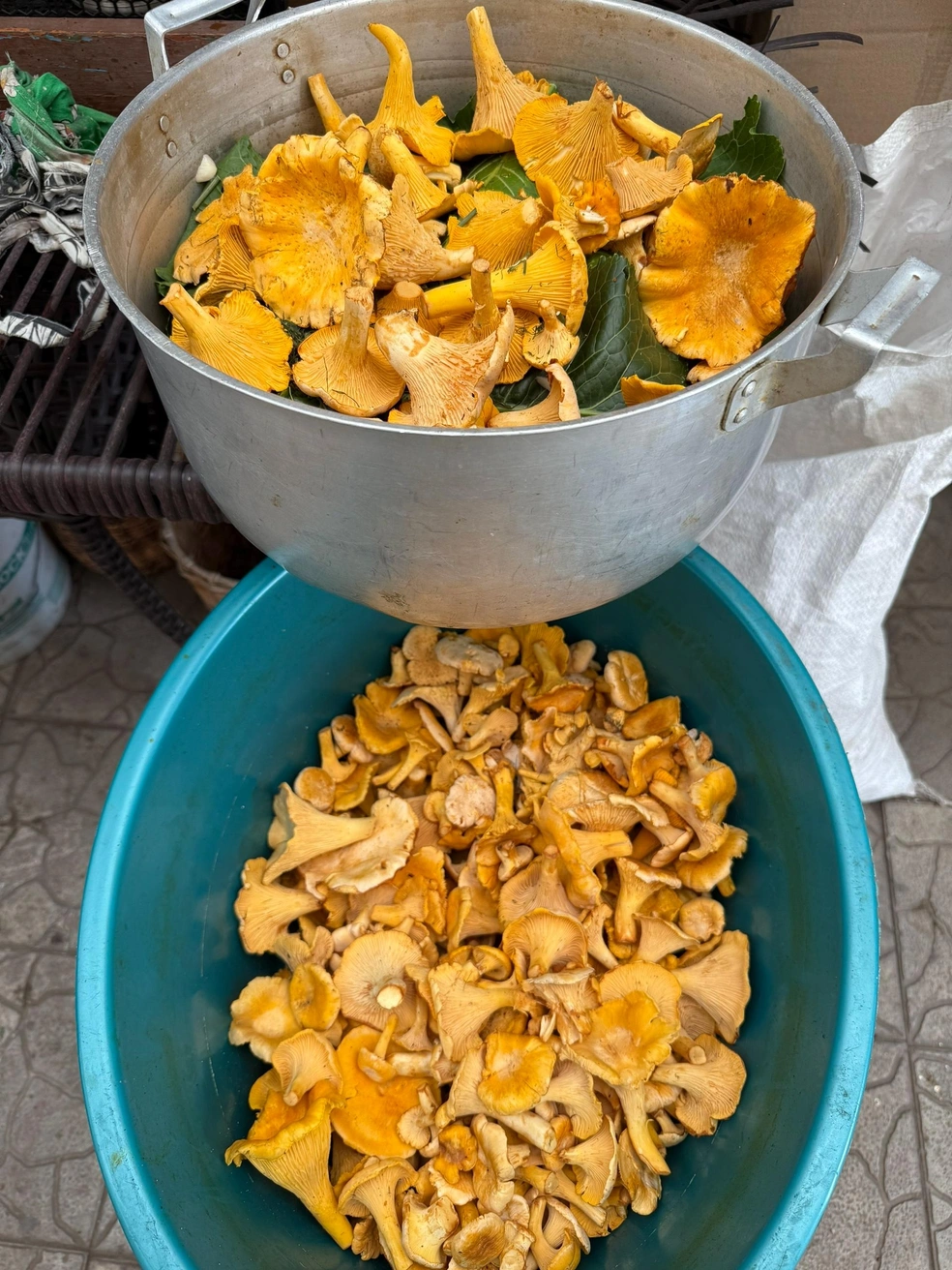 Кстати. Как вы предпочитаете готовить лисички?  | Источник: Грибы. Ягоды. Травы. Челябинск и область. / Vk.com